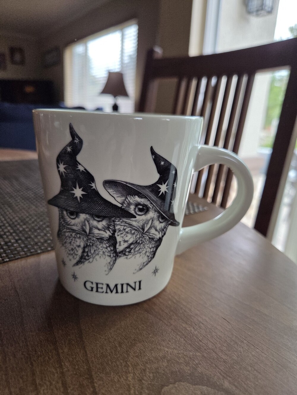 Rory Dobner 20oz Gemini Mug From Williams Sonoma
